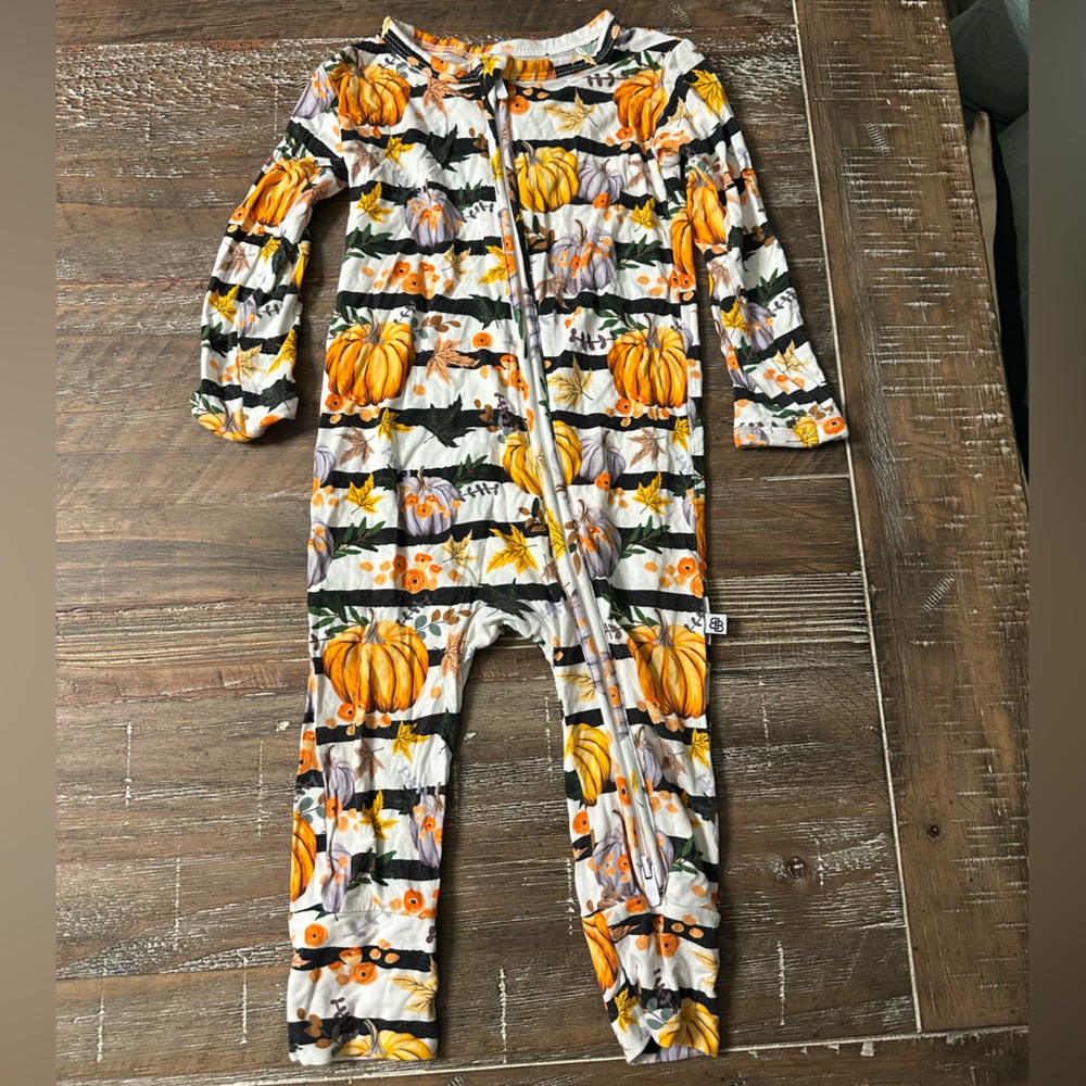 Little Bum Bums pumpkin fall zippie